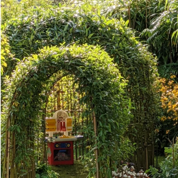Cabane osier vivant