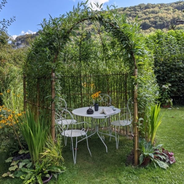 Ombrage osier vivant